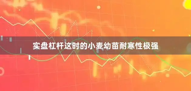 实盘杠杆这时的小麦幼苗耐寒性极强