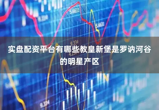 实盘配资平台有哪些教皇新堡是罗讷河谷的明星产区