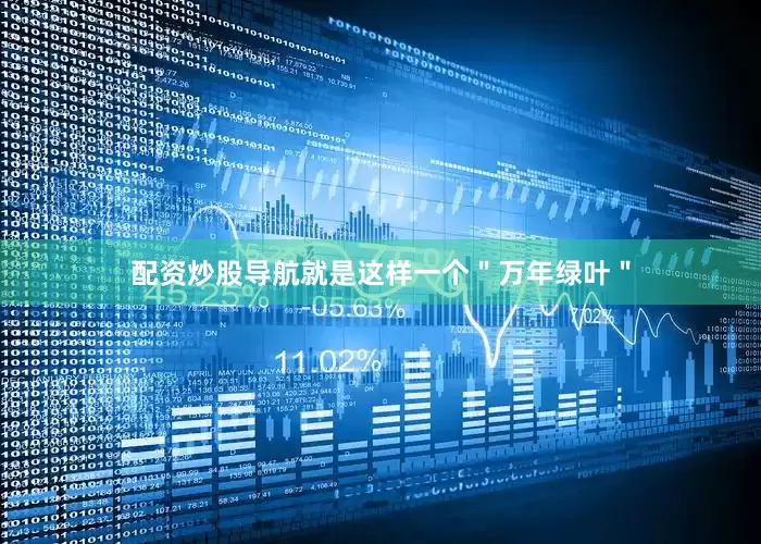配资炒股导航就是这样一个＂万年绿叶＂