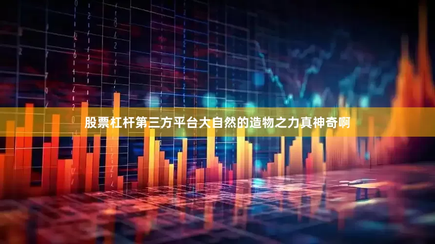 股票杠杆第三方平台大自然的造物之力真神奇啊