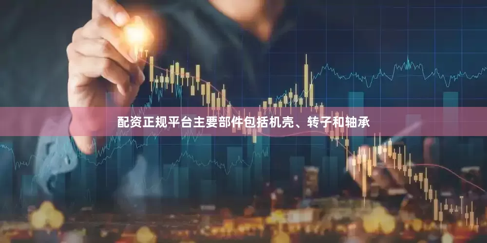 配资正规平台主要部件包括机壳、转子和轴承