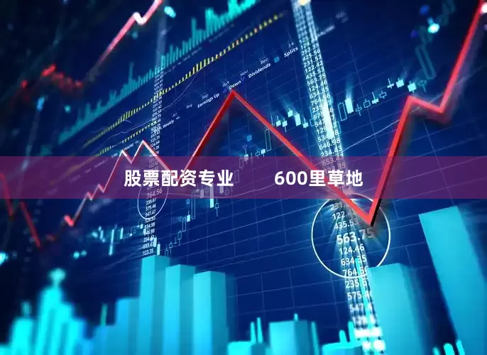 股票配资专业        600里草地