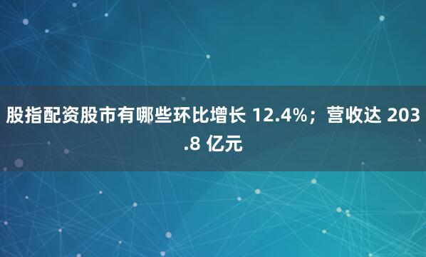 股指配资股市有哪些环比增长 12.4%;营收达 203.8 亿元