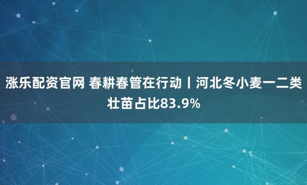 涨乐配资官网 春耕春管在行动丨河北冬小麦一二类壮苗占比83.9%