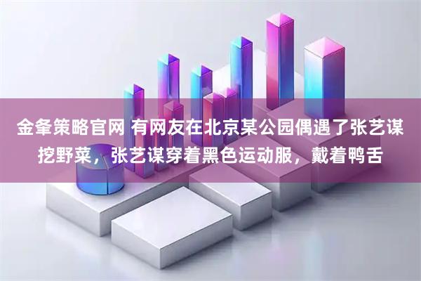 金夆策略官网 有网友在北京某公园偶遇了张艺谋挖野菜，张艺谋穿着黑色运动服，戴着鸭舌